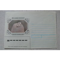 1983, 1990, ХНМК, Горинов К., Епителанта, из серии "Цветущие кактусы".