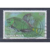 [2130] Багамы 1986. Фауна.Рыбы. Гашеная марка.