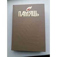 Книга Память Червенский р-н