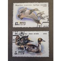 СССР. 1991 год. Фауна. Утки. 2 марки
