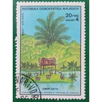 Мадагаскар 1988. Lemur Catta