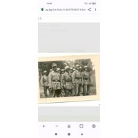 Фото, цена за штуку