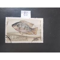 Замбия 1983 рыба