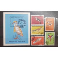 Мадагаскар. 1986 год. Фауна. Птицы. Блок и 5 марок (1045)