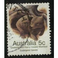 Австралия - 1981 [Mi. 754] Гашеная (AU19)