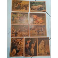Почтовые карточки. Животные. 1961 г. СССР. ИЗОГИЗ.