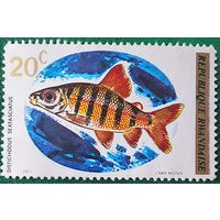 Руанда 1973. Шестиполосый дистиход