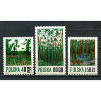 Польша - 1971 - Лес - [Mi. 2067-2069] - полная серия - 3 марки. MNH.  (Лот 54HZ)-TG3P49