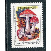 СССР 1986. Ядовитые грибы. Мухомор красный
