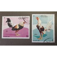 КУБА. 1981 год. Петухи. Фауна. 2 марки