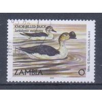 [2440] Замбия 2000. Фауна.Птицы.Утки. Гашеная марка.