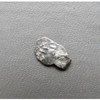 Чешуйка петра