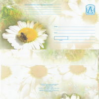 Беларусь 2007 Времена года. Лето. Пчела на ромашке (к4)