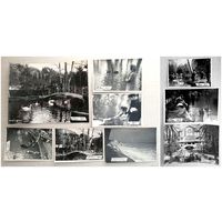 Фото. Новый Афон. Гагра. Абхазия. 1967г. Цена за 1шт.