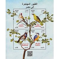 Египет 2024 Фауна. Птицы. Блок