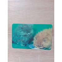 Календарик 1992