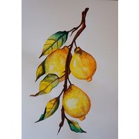 Картина "Лимоны"