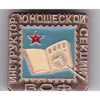 Инструктор юношеской секции ВОФ (Всесоюзное общество филателистов).