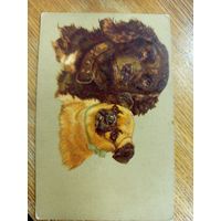 Старая открытка