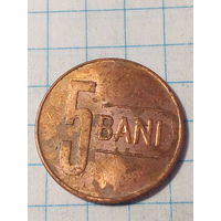 5 бани Румыния 2021 год