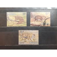 Малайзия. Фауна (1050)