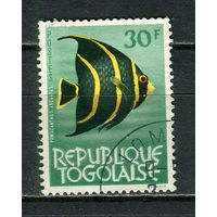 Того - 1964/1965 - Рыбка 30Fr - [Mi.397] - 1 марка. Гашеная.  (Лот 23HY)-TG3P47