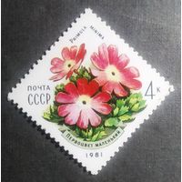 Марка СССР 1981 год Цветы Карпат
