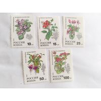 Россия  1993  5 м