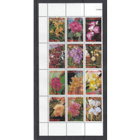 Флора. Цветы. Суринам. 2005. 12 марок. Michel N 1995-2006 (18,0 е)