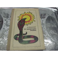Ильинский Ю.Б. За ядовитыми змеями. 1981 г.