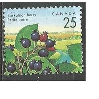 Канада. Лесные ягоды. Ирга. 1992г. Mi#1313.