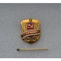 Дружинник.
