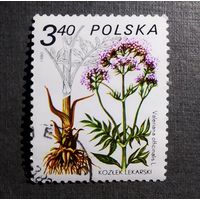 Марка Польша 1980 год Флора