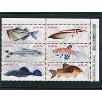 Бразилия. Рыбы южных морей. Блок