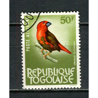 Того - 1964/1965 - Птица 50Fr. Авиамарка - [Mi.402] - 1 марка. Гашеная.  (Лот 24HY)-TG3P47