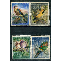 Нидерландские Антильские острова - 1958г. - птицы - 4 марки - полная серия, MNH, лёгкое пожелтение клея, 2 марки чистые, без клея [Mi 66-69]. #3-WB-101-KS-1