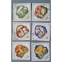 Монголия грибы 6шт