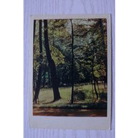 Парк; 1962; чистая.