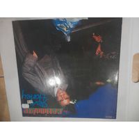 STEVE HARLEY  " CANDIDATE" 1979 LP GERMANY EMI ELECTROLA  O64-07134/EX