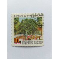 Марки  Дерево дружбы Сочи   Почта СССР    1970  1 шт. -  0,50 руб.