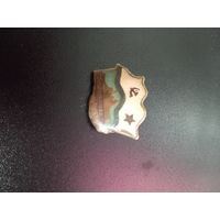 Значок " За дальний поход " СССР