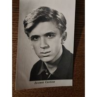 Артисты Стеблов