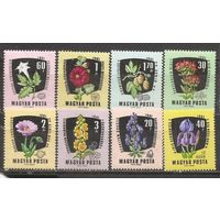 ФФ1 Венгрия 1961 Цветы