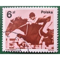 Польша 1983. Конный спорт. Марка из серии