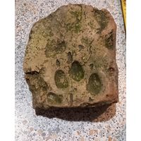 Кирпич с отпечатком лапы.