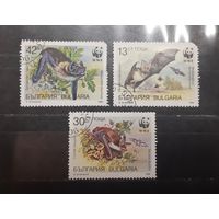 Болгария. 1989 год. Фауна. Летучие мыши (549)