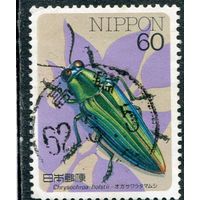 Япония. Фауна. Насекомые. Вып.03