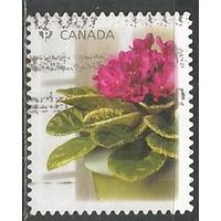 Канада. Цветы. 2010г. Mi#2594.