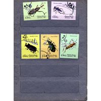 КУБА, 1980, ЖУКИ, 5м, гашен