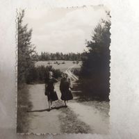 Фотография. Широка страна моя Родная. Ретро фото.  Девушки на лесной дороге. 1950-е.